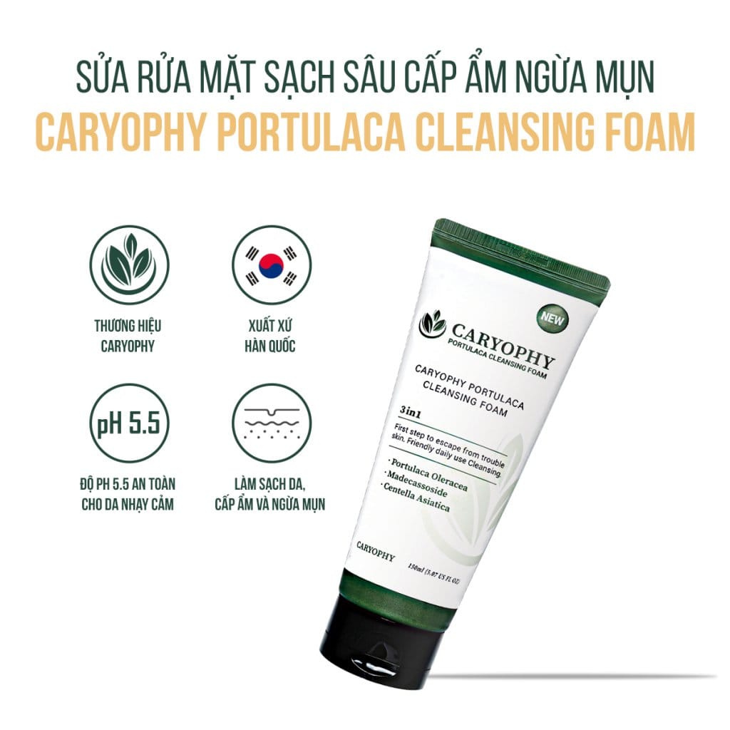 Sữa rửa mặt Caryophy Portulaca Cleansing Foam 150ml – NEW 7 Sữa rửa mặt Caryophy Portulaca Cleansing Foam 150ml – NEW