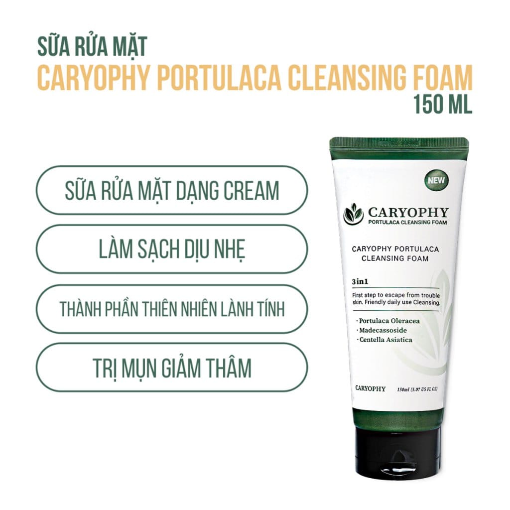 Sữa rửa mặt Caryophy Portulaca Cleansing Foam 150ml – NEW 6 Sữa rửa mặt Caryophy Portulaca Cleansing Foam 150ml – NEW