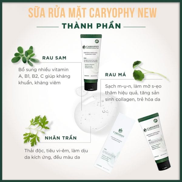 Sữa rửa mặt Caryophy Portulaca Cleansing Foam 150ml – NEW 9 1 5 2