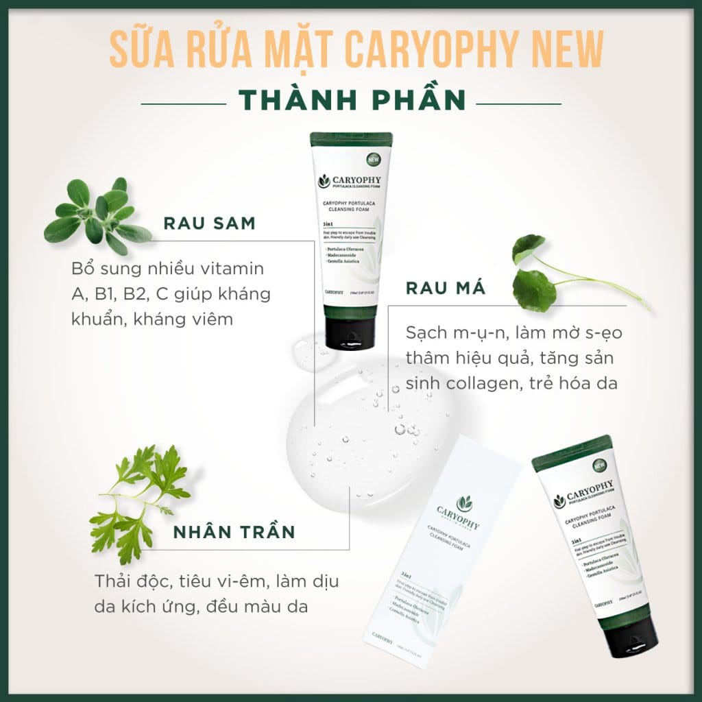Sữa rửa mặt Caryophy Portulaca Cleansing Foam 150ml – NEW 3 Sữa rửa mặt Caryophy Portulaca Cleansing Foam 150ml – NEW