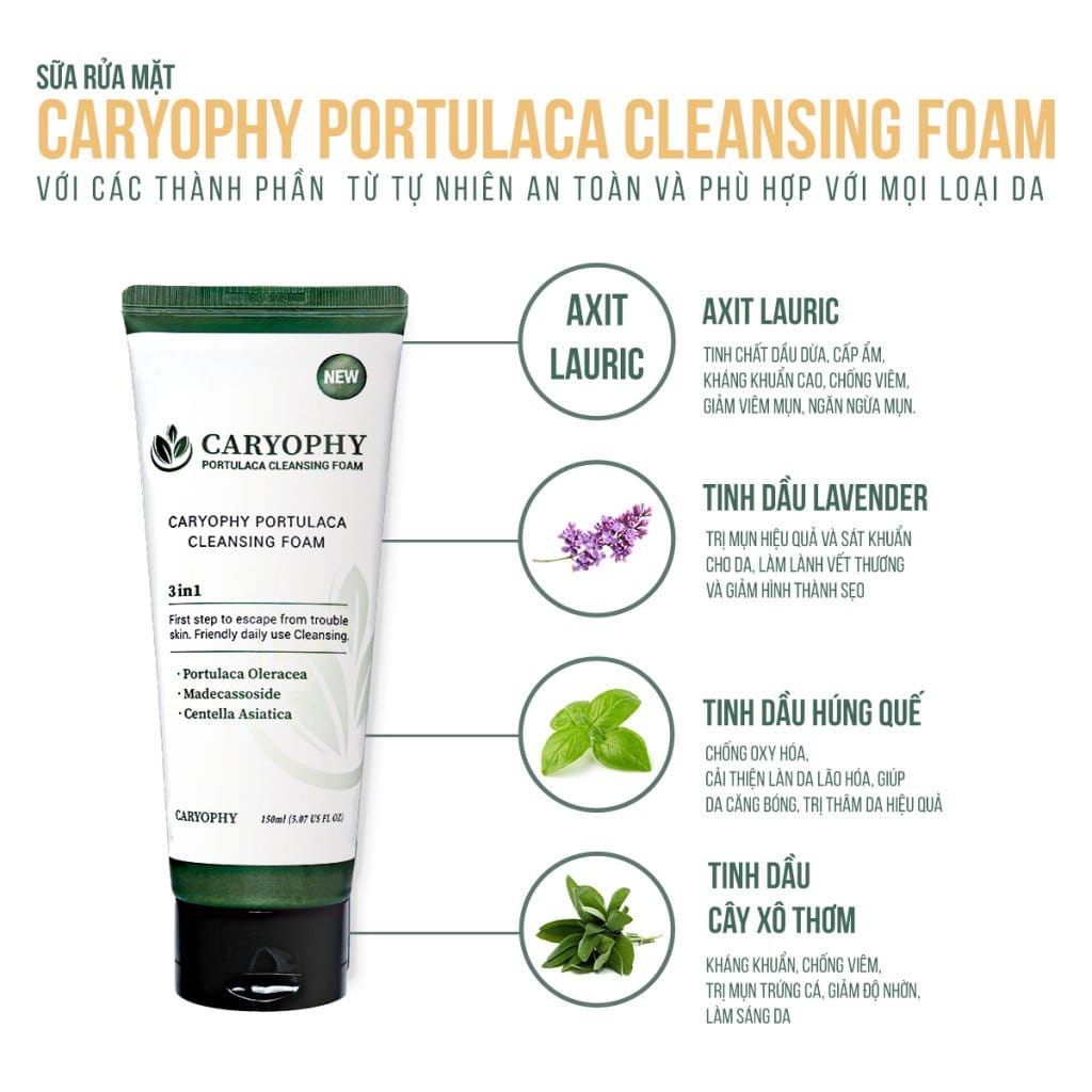 Sữa rửa mặt Caryophy Portulaca Cleansing Foam 150ml – NEW 2 Sữa rửa mặt Caryophy Portulaca Cleansing Foam 150ml – NEW