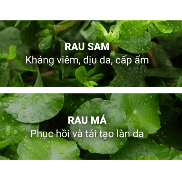 Gel tẩy tế bào chết thông minh ngăn ngừa mụn Caryophy Smart Peeling Gel 12 INFOGRAPHIC Peeling Gel 04 1024x700 1