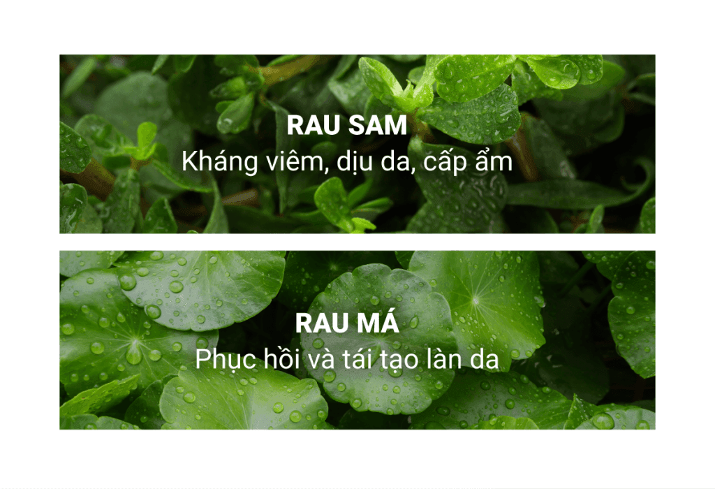 Gel tẩy tế bào chết thông minh ngăn ngừa mụn Caryophy Smart Peeling Gel 5 Gel tẩy tế bào chết thông minh ngăn ngừa mụn Caryophy Smart Peeling Gel