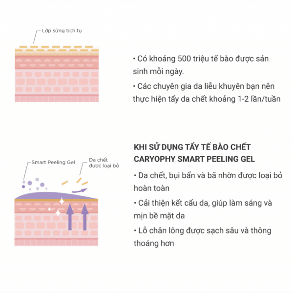 Gel tẩy tế bào chết thông minh ngăn ngừa mụn Caryophy Smart Peeling Gel 10 INFOGRAPHIC Peeling Gel 06 1024x841 1